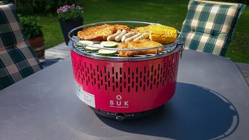 Vue 2 de Barbecue De Table Avec