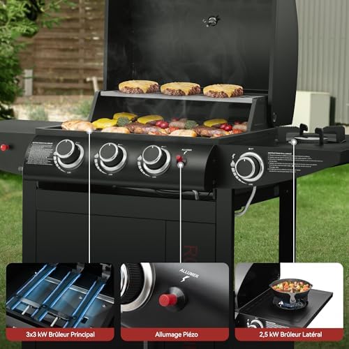 Vue 5 de Royal Gourmet Barbecue Gaz