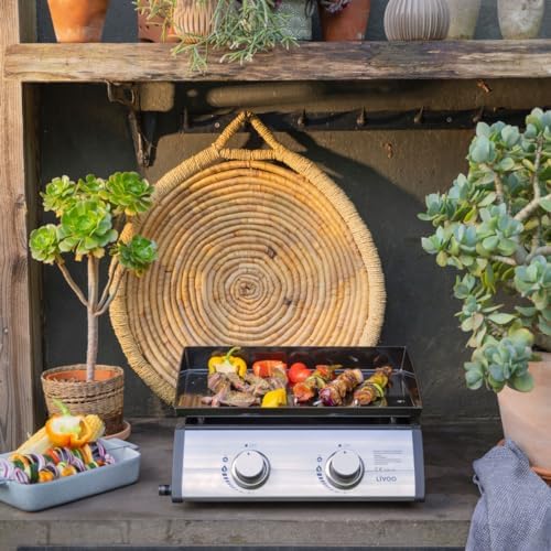 Vue 2 de Plancha Gaz Kw Plaque