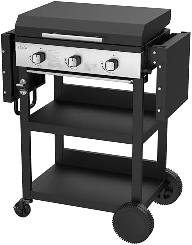 Vue 3 de Bighorn Plancha Gaz De