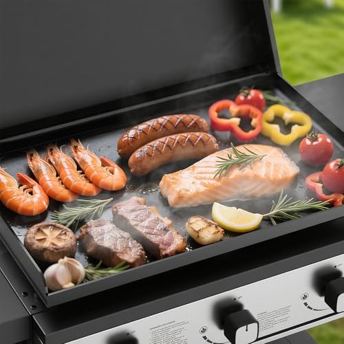 Vue 4 de Bighorn Plancha Gaz De