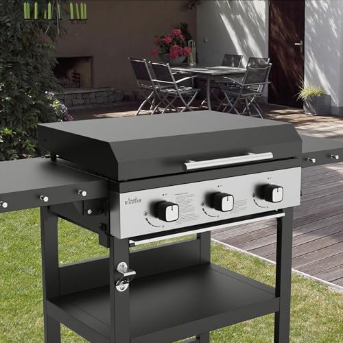 Vue 5 de Bighorn Plancha Gaz De