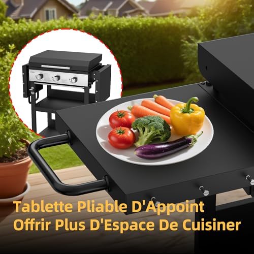 Vue 6 de Bighorn Plancha Gaz De