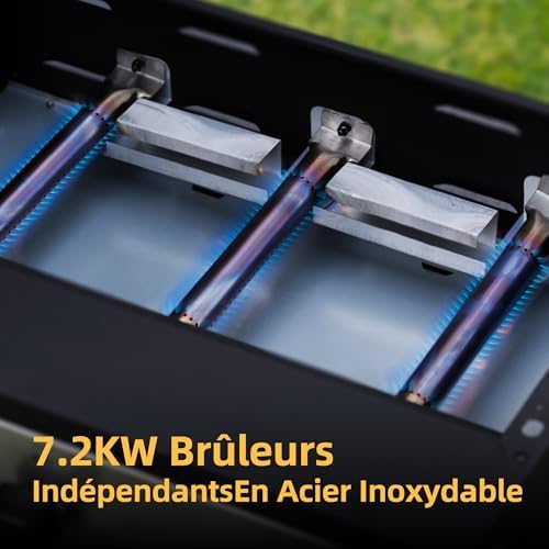 Vue 7 de Bighorn Plancha Gaz De