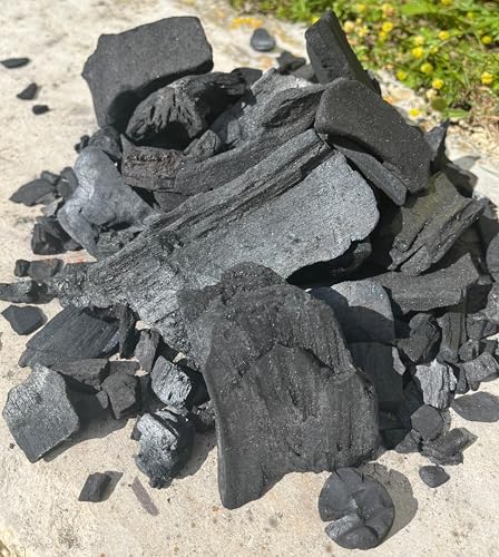 Vue 5 de Favorit Charbon De Bois