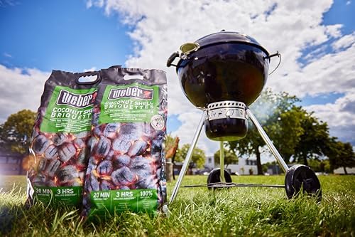 Vue 5 de Weber Briquettes De Noix