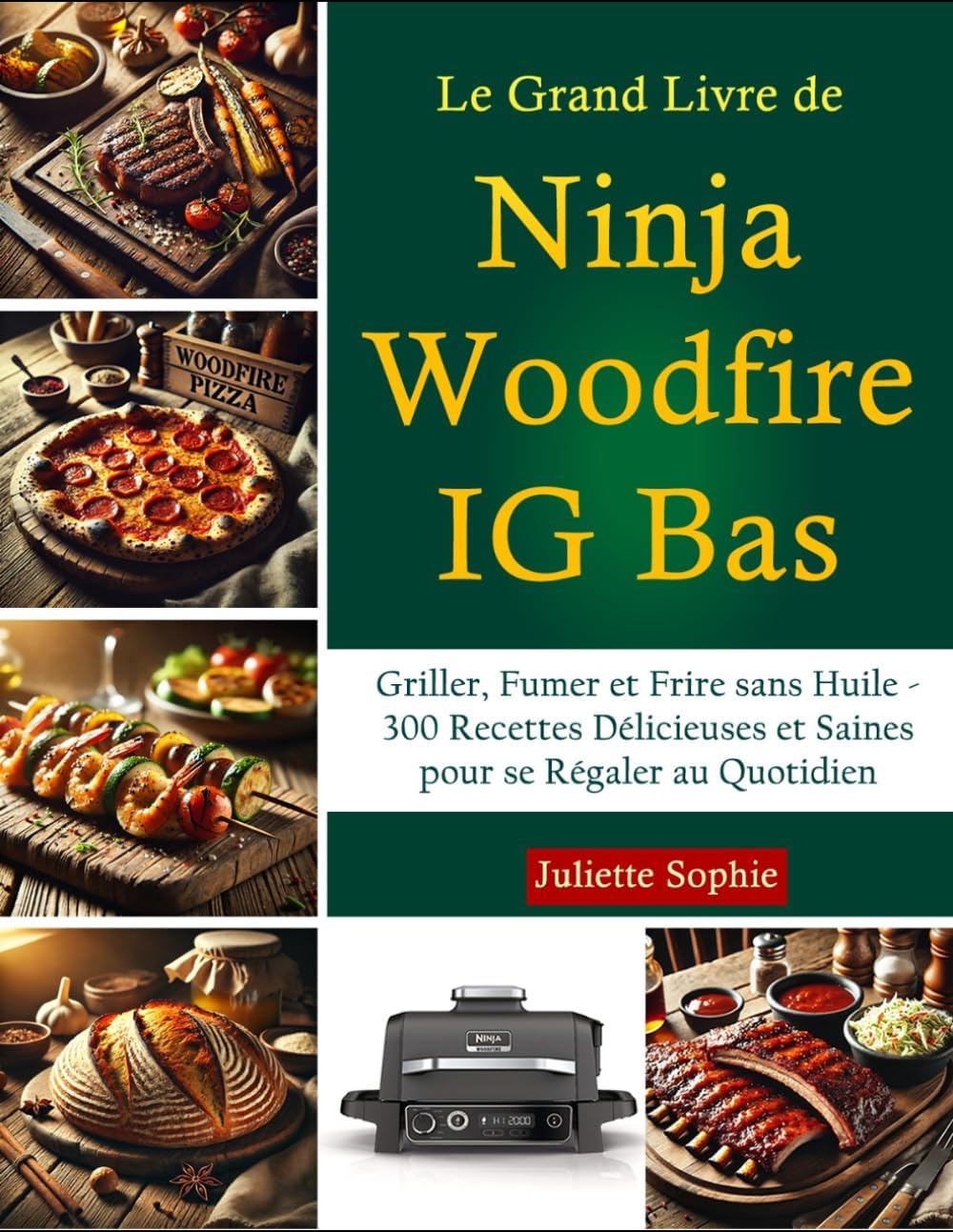 Vue 7 de Livre Recette Ninja Woodfire