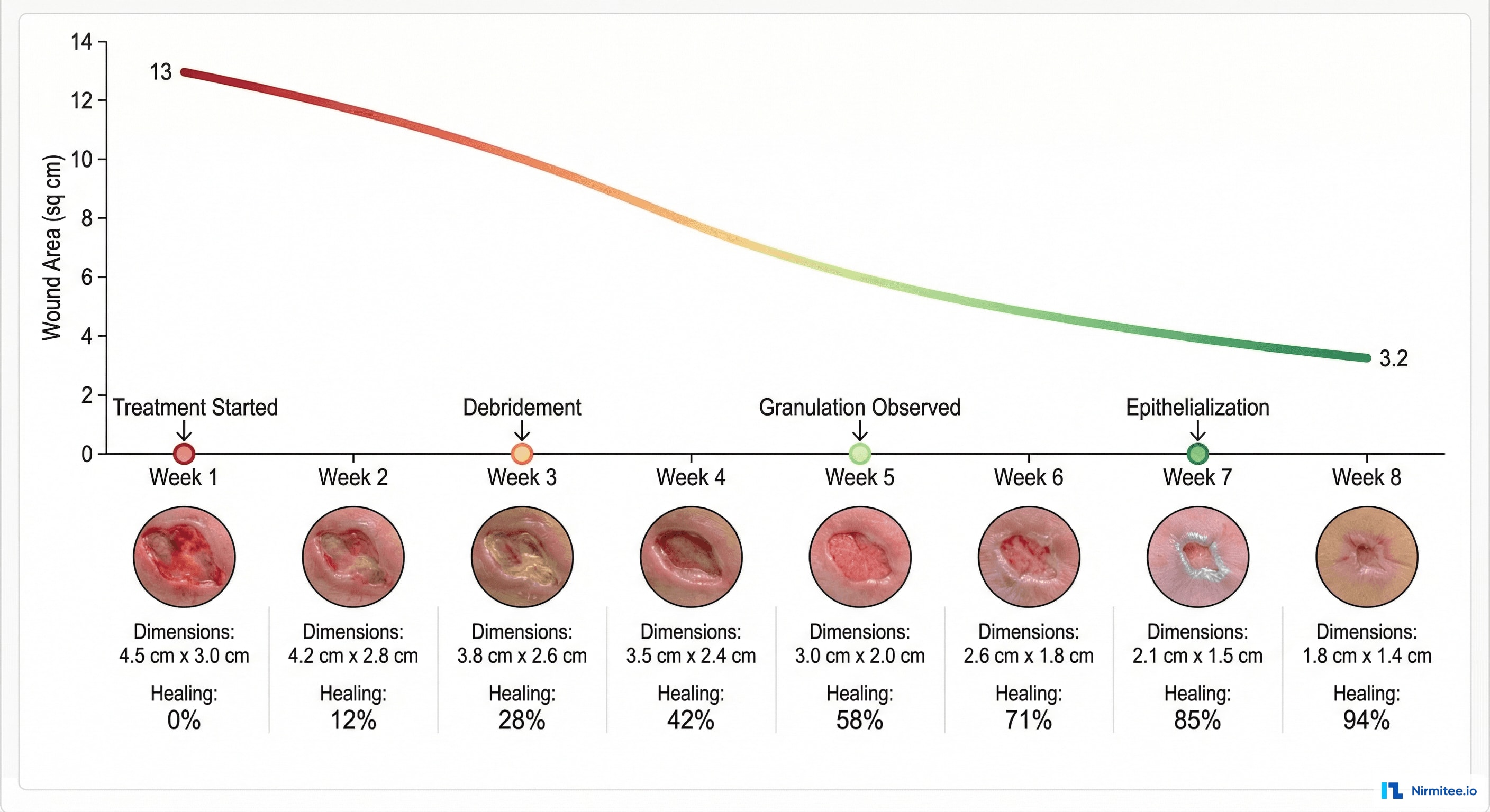 Wound Healing Timeline - 8-Week Progress with Photo Thumbnails and Measurements
