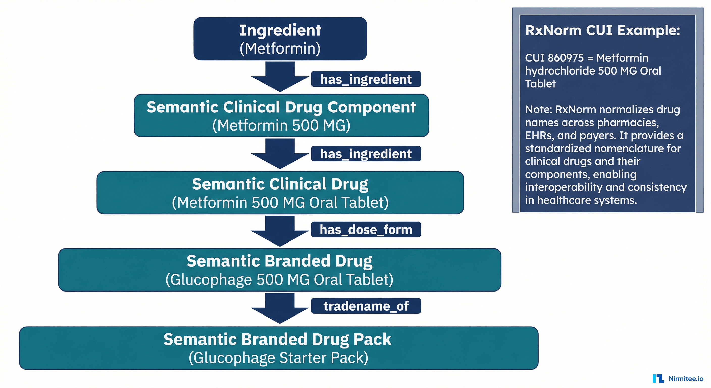 RxNorm medication naming hierarchy showing layers from ingredient through dose form to branded drug with relationship types and example for Metformin