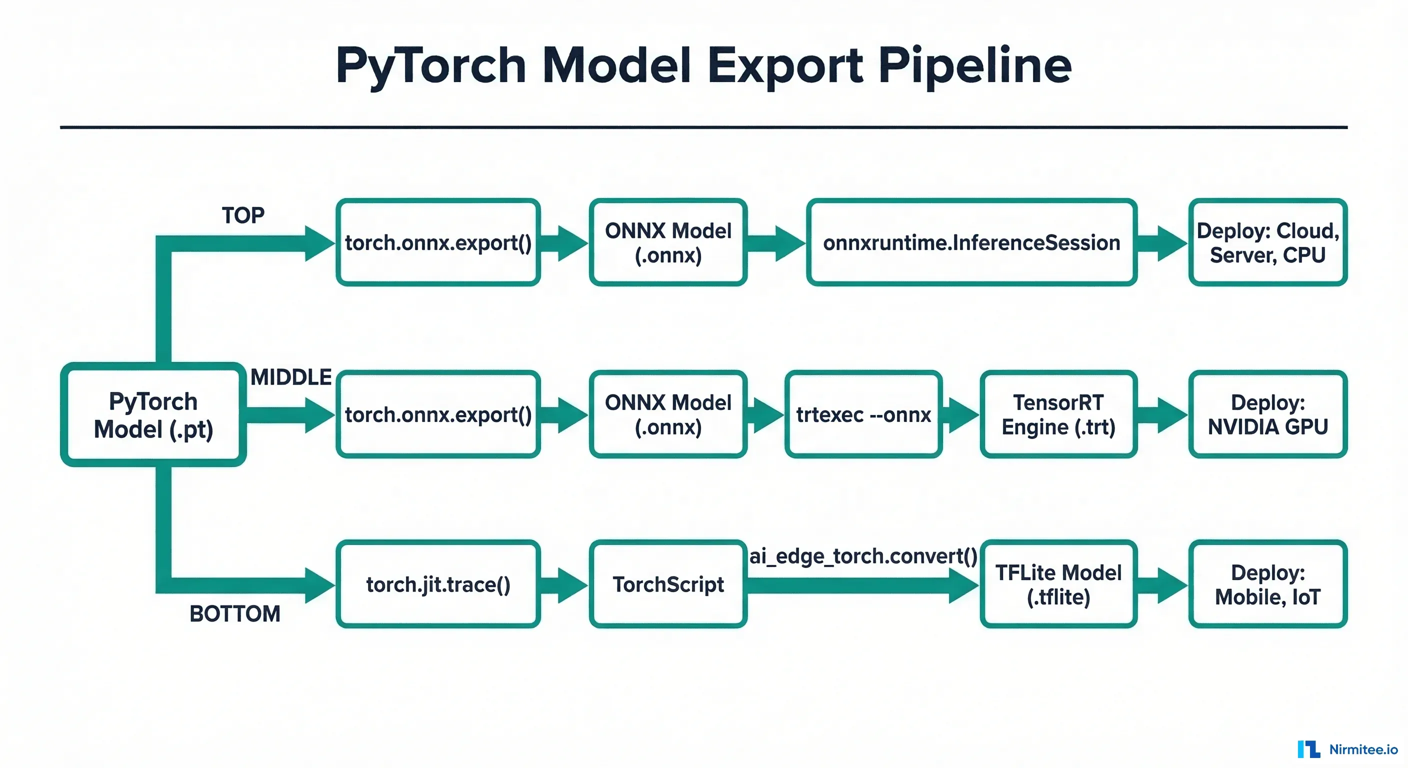 PyTorch model export pipeline showing three paths: ONNX Runtime, TensorRT via ONNX, and TFLite via TorchScript conversion