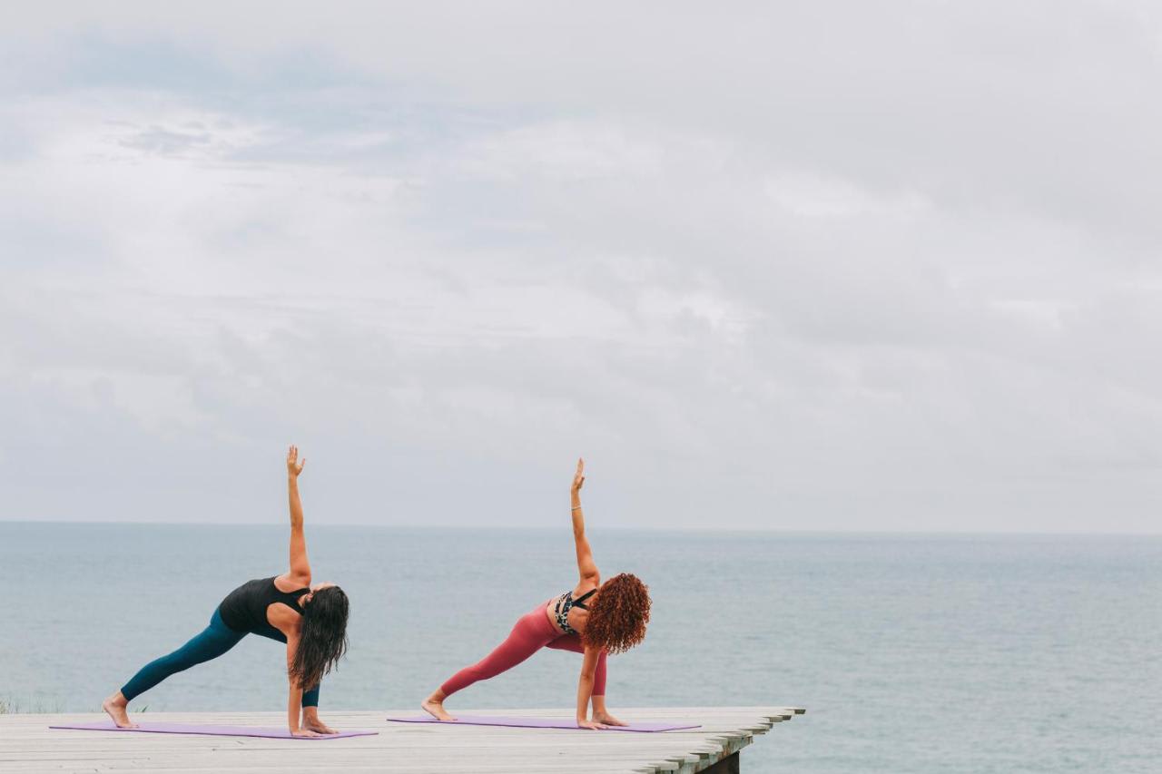 🌊Les expériences et activités