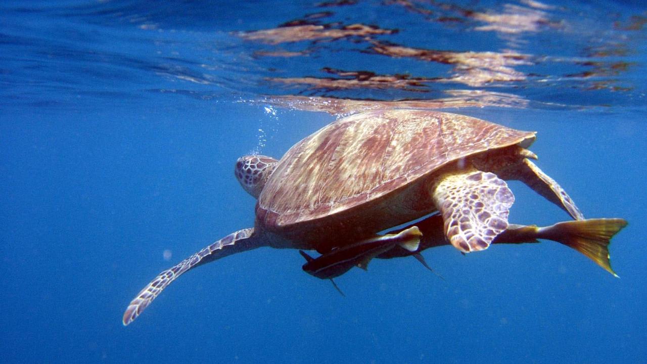 🌊 Les expériences et activités