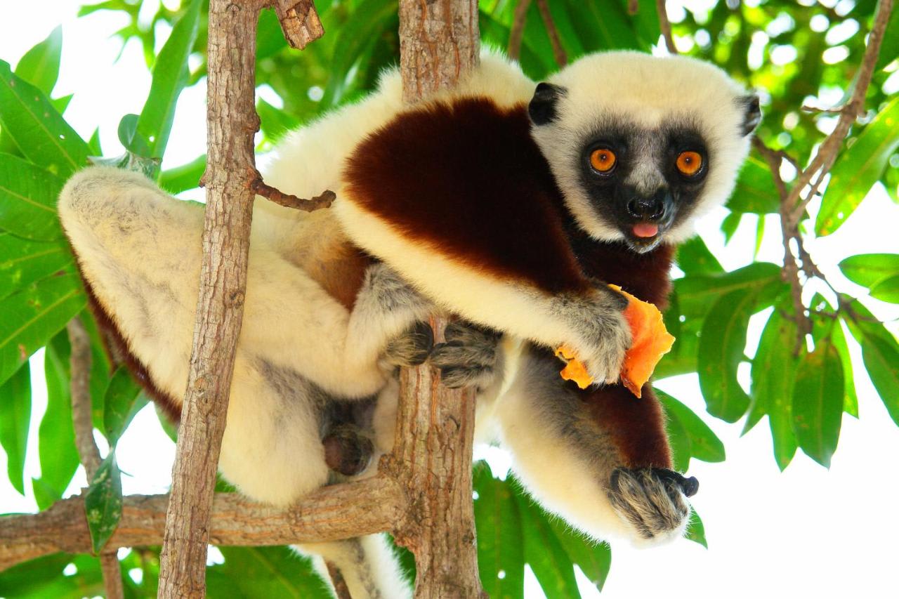 🌊Les expériences et activités