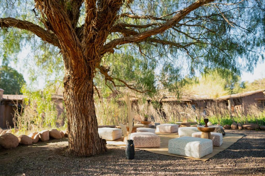 ◽Les expériences et activités