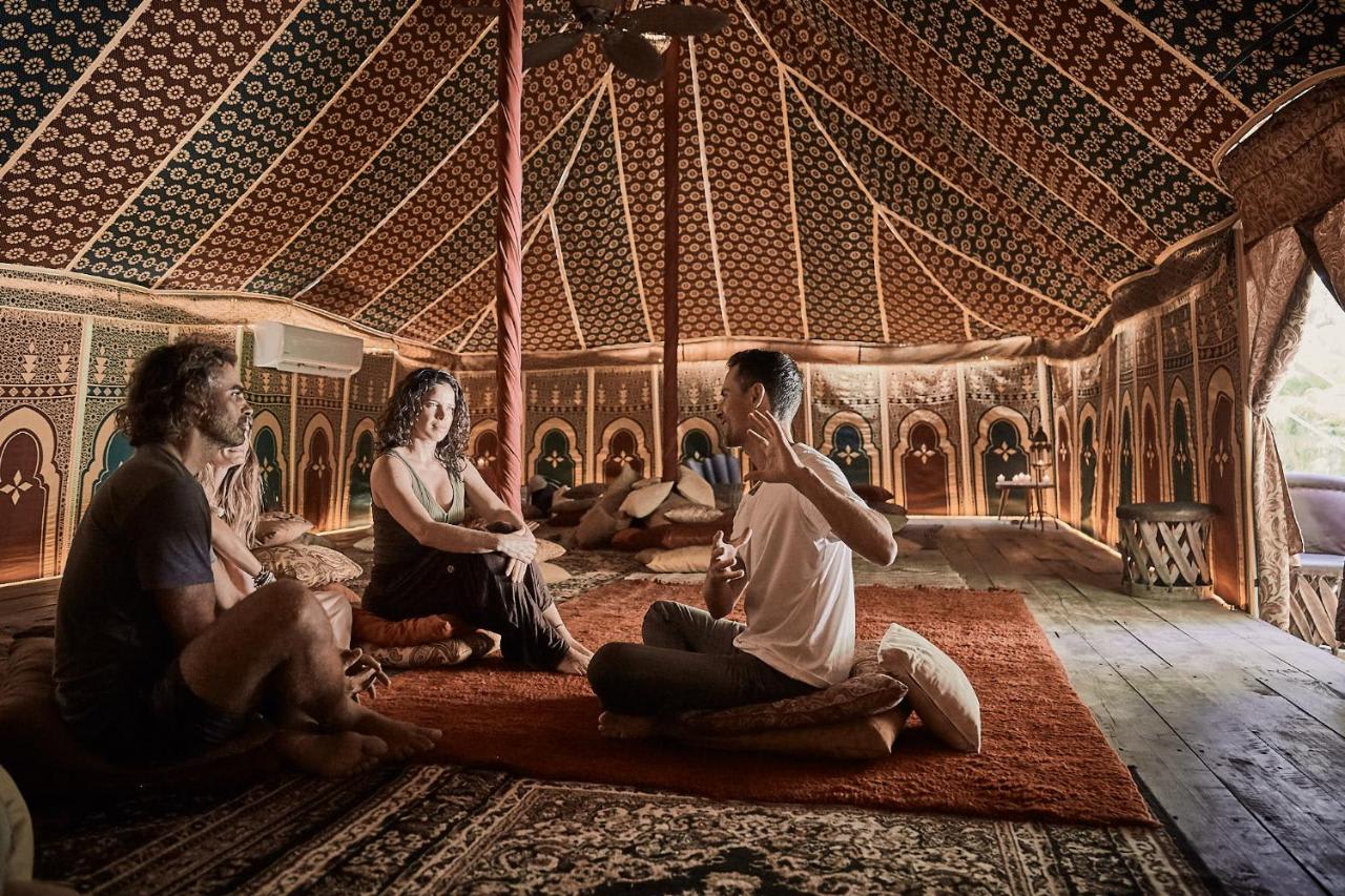 ◽Les expériences et activités