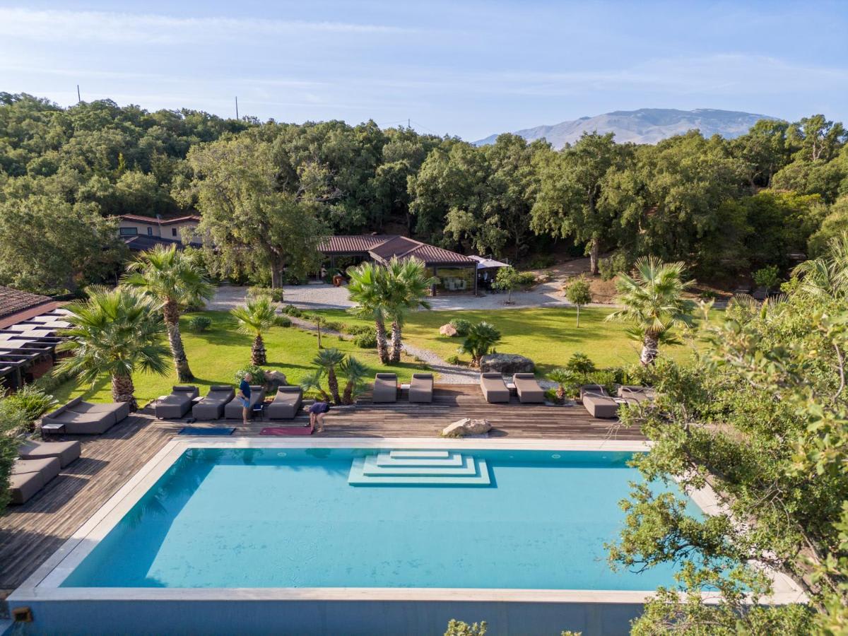 ◽Les expériences et activités