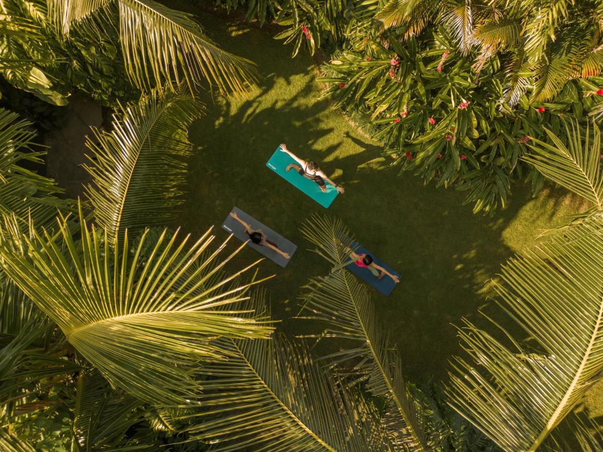 ◽Les expériences et activités