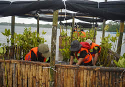 🌿 Engagements environnementaux