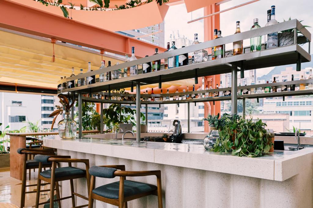 ◽Les expériences et activités