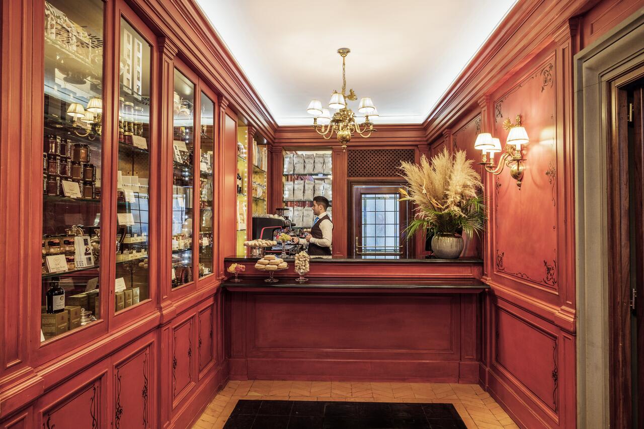 ◽Les expériences et activités