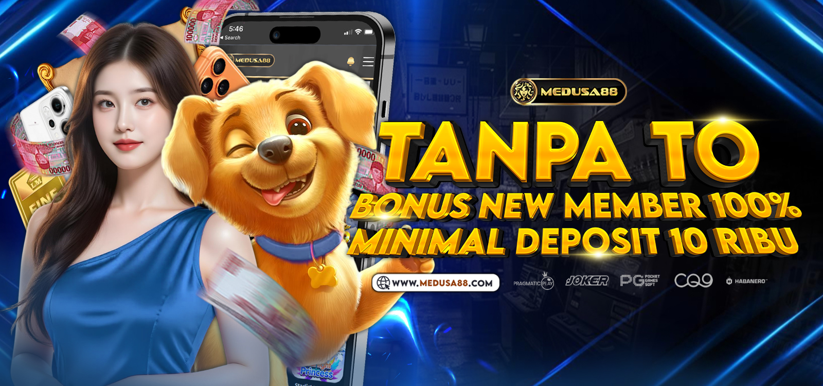 HIMBAUAN WEB PHISING