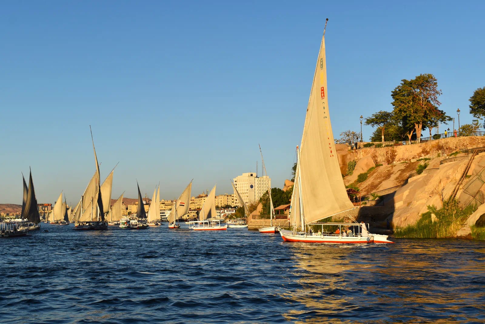 Nile dinner cruise