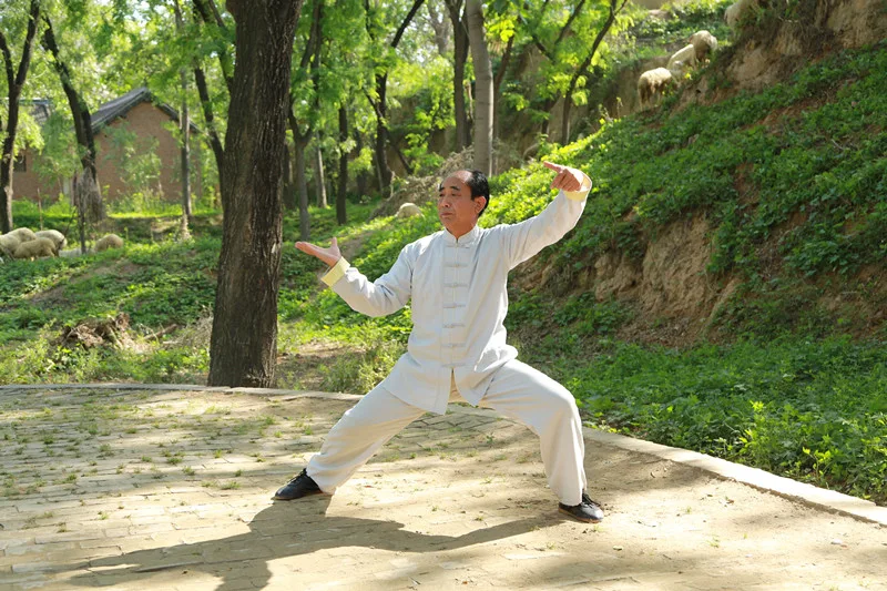 Principal Chen Zhaosen demonstrating Tai Chi techniques