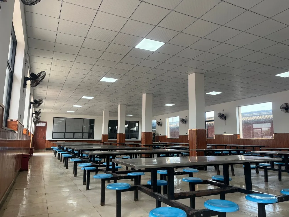 Spacious school cafeteria with long tables and blue padded chairs