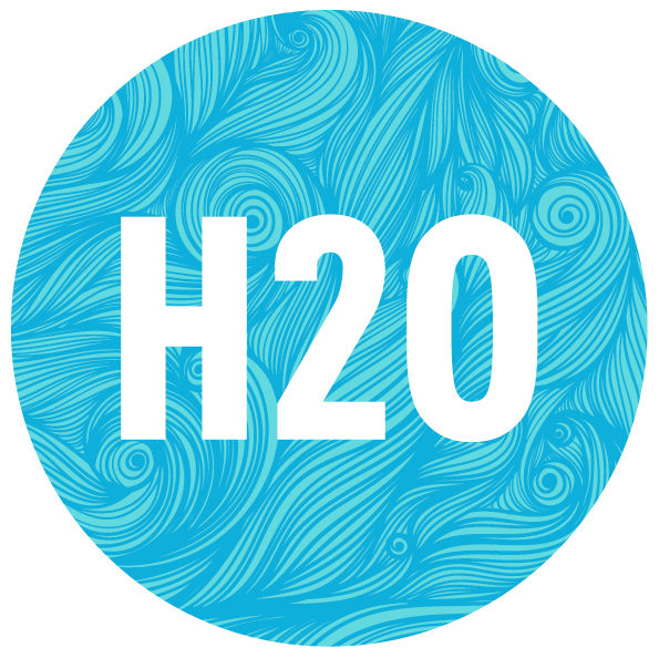 H2O Logo