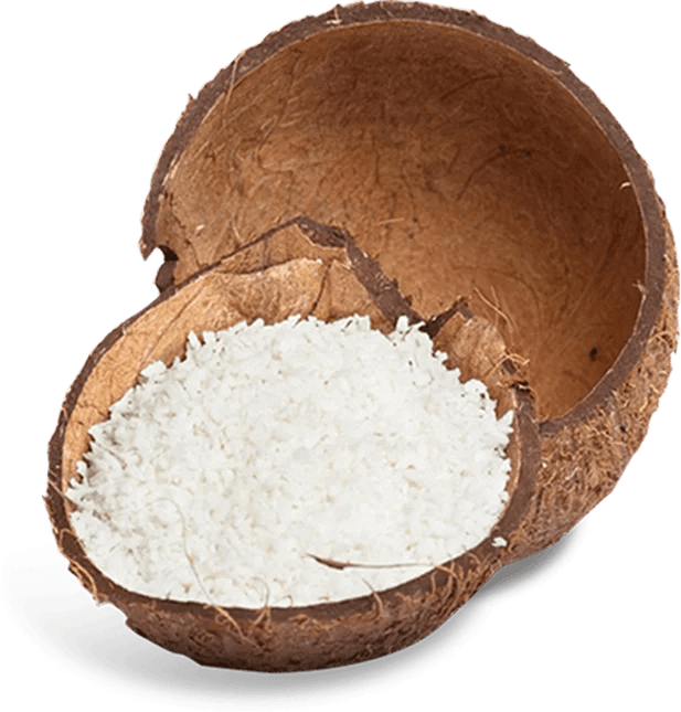 Imagen de Coco Rallado LOW FAT