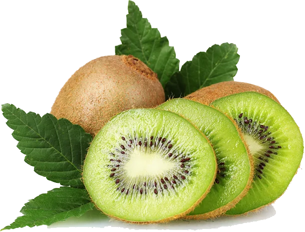 Imagen de Kiwi en Rodajas