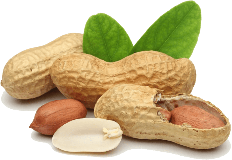 Imagen de Maní con Cáscara Grande