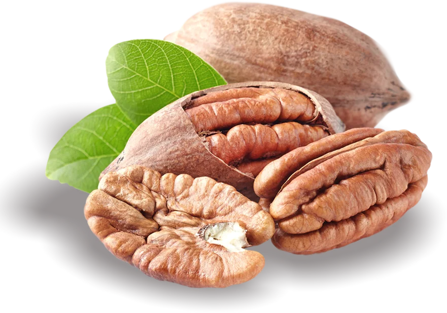 Imagen de Nuez Pelada PECAN