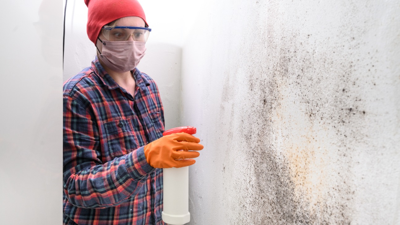 a woman sprays a mold remedy on the wall mold removal at home