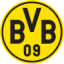 Home team