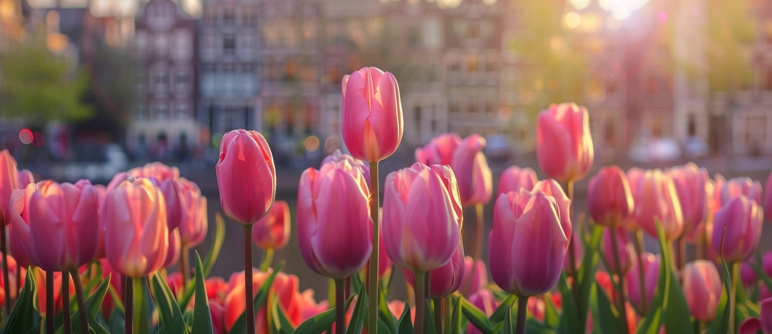 Travel Guide for Amsterdam