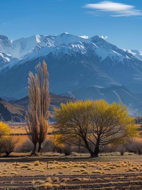 Picture of Mendoza, Argentina