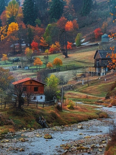 Picture of Romania