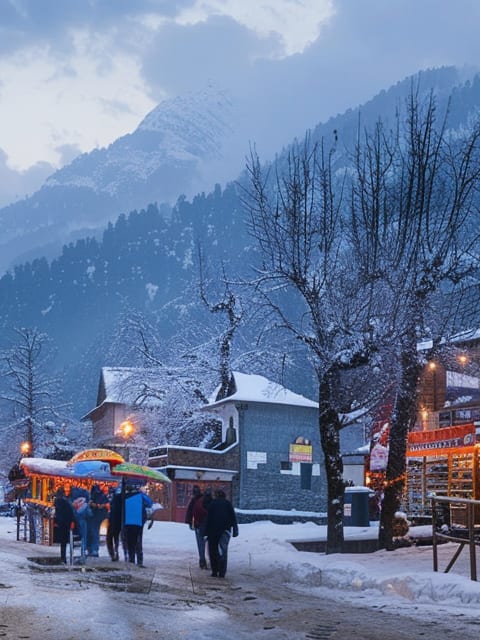 Picture of Manali, Himachal Pradesh, India