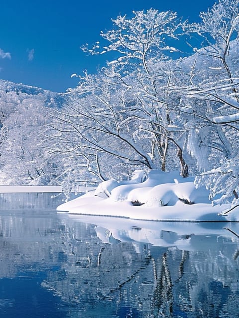 Picture of Honshu, Japan