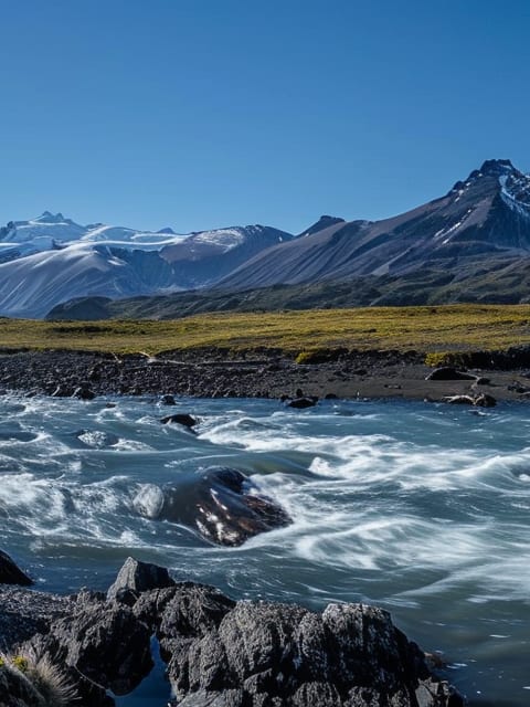 Picture of Magallanes, Chile