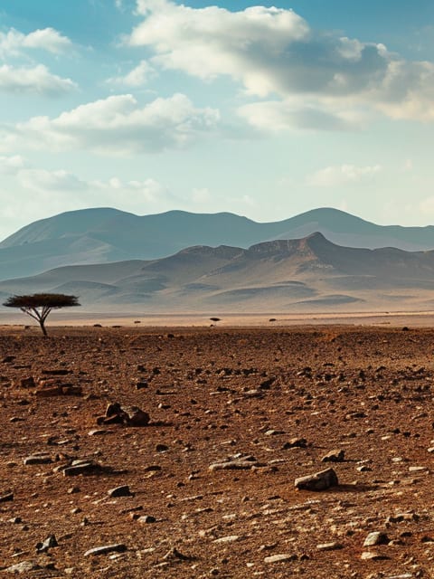 Picture of Djibouti