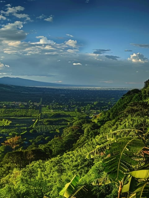 Picture of El Salvador