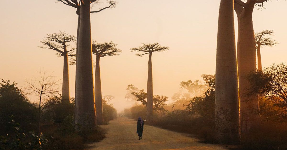 Madagascar