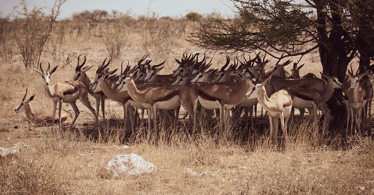 Namibia