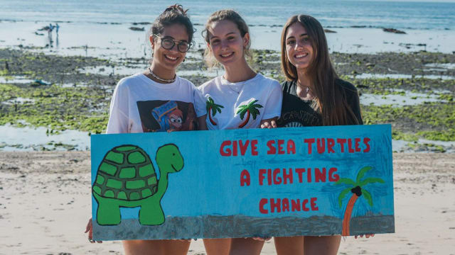 Turtle Conservation in Bali, Indonesia