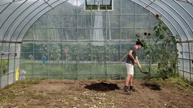 Community Agriculture in Japan