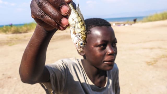 Fishing Experience in Malawi