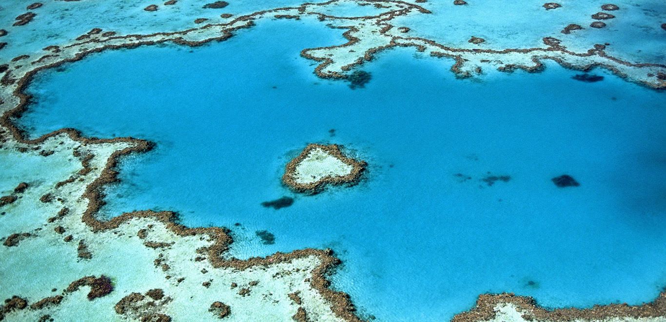 The Great Barrier Reef