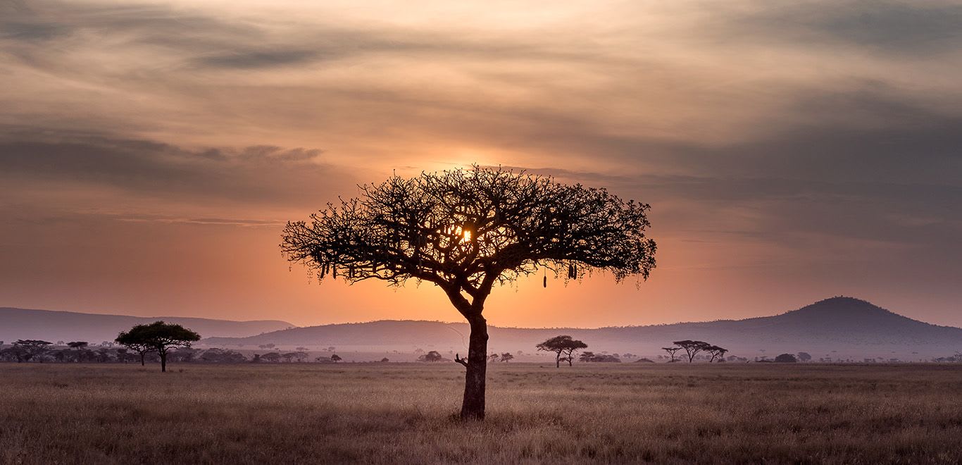 Sunset in Serengeti